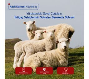 Adak-Akika-Sadaka Kurbanı