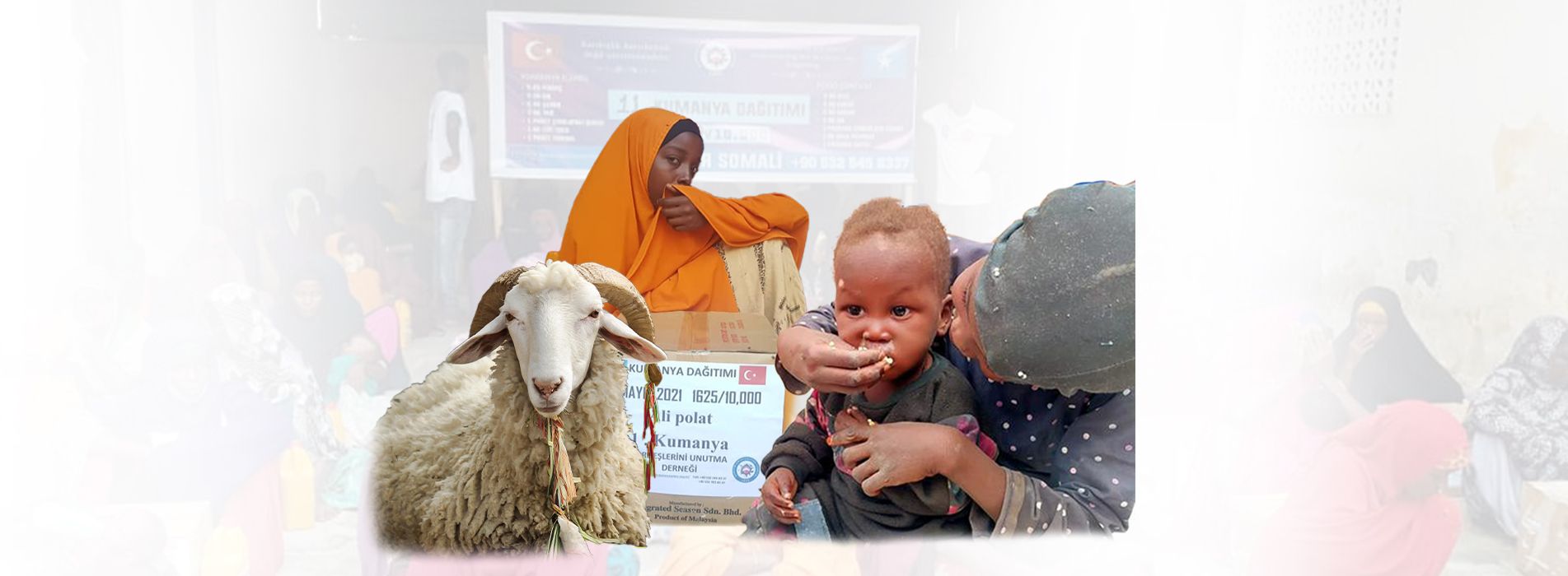 Kurbanlarımız Kesilmeye Devam Ediyor